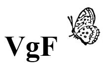 Vereinigung gegen Fluglärm